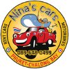 logo ninascar